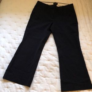 Navy blue Pants from J crew